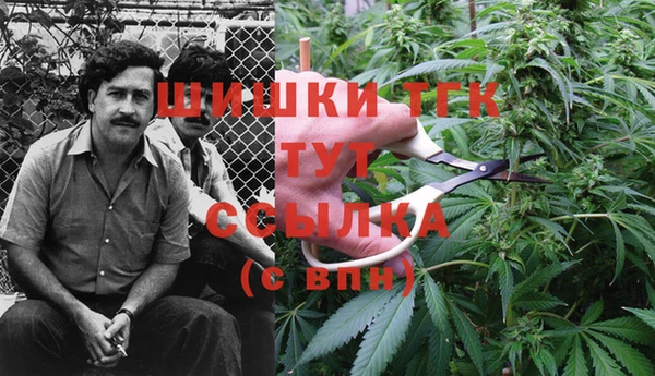 ECSTASY Абаза