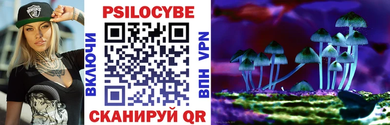 Псилоцибиновые грибы GOLDEN TEACHER сколько стоит Белоозёрский